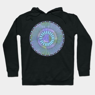 Diatom - Discostella asterocostata (artwork) Hoodie